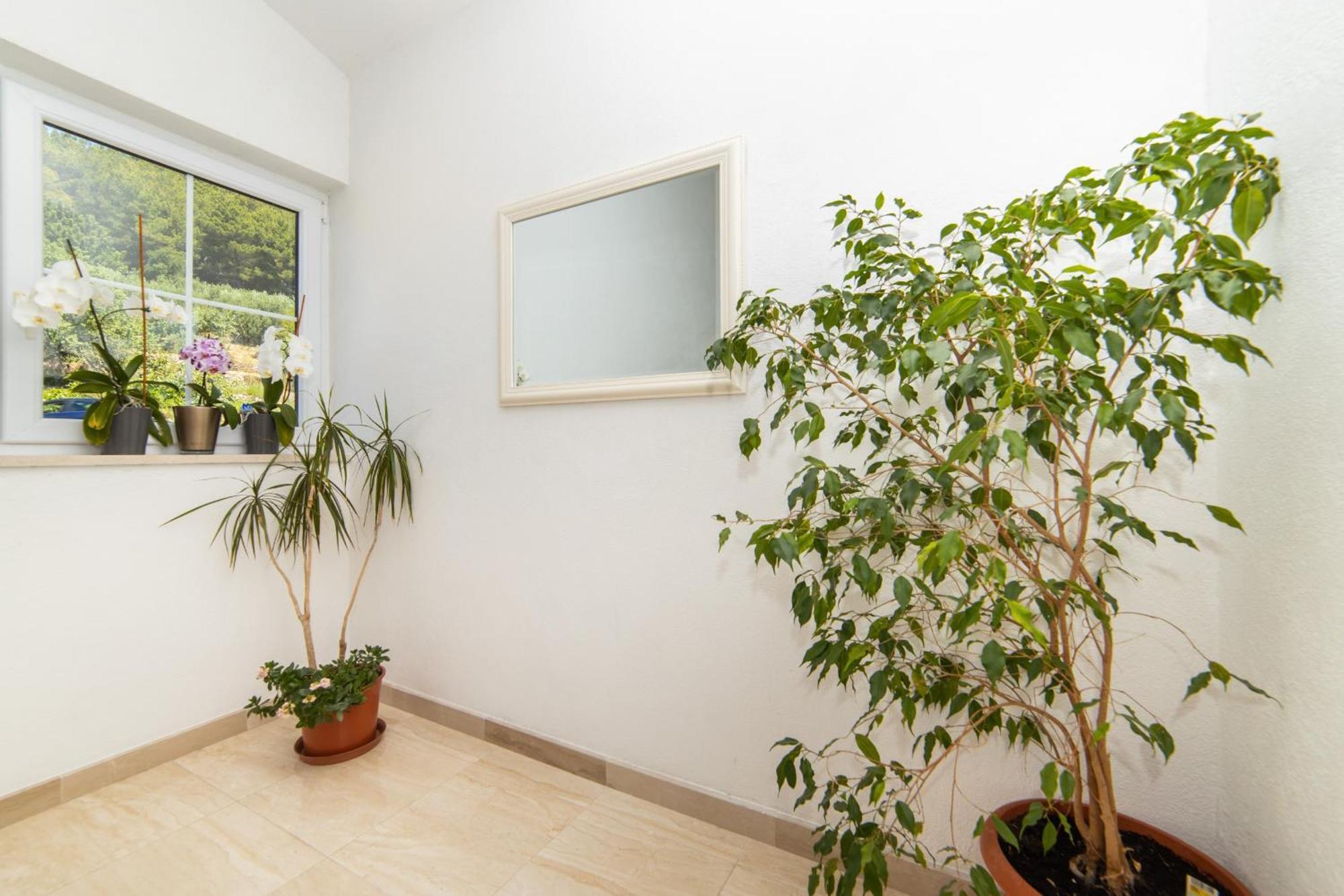 Apartments Tilda ブリスト エクステリア 写真